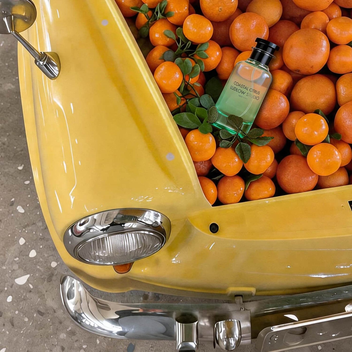 Ludlow Studio Coastal Citrus