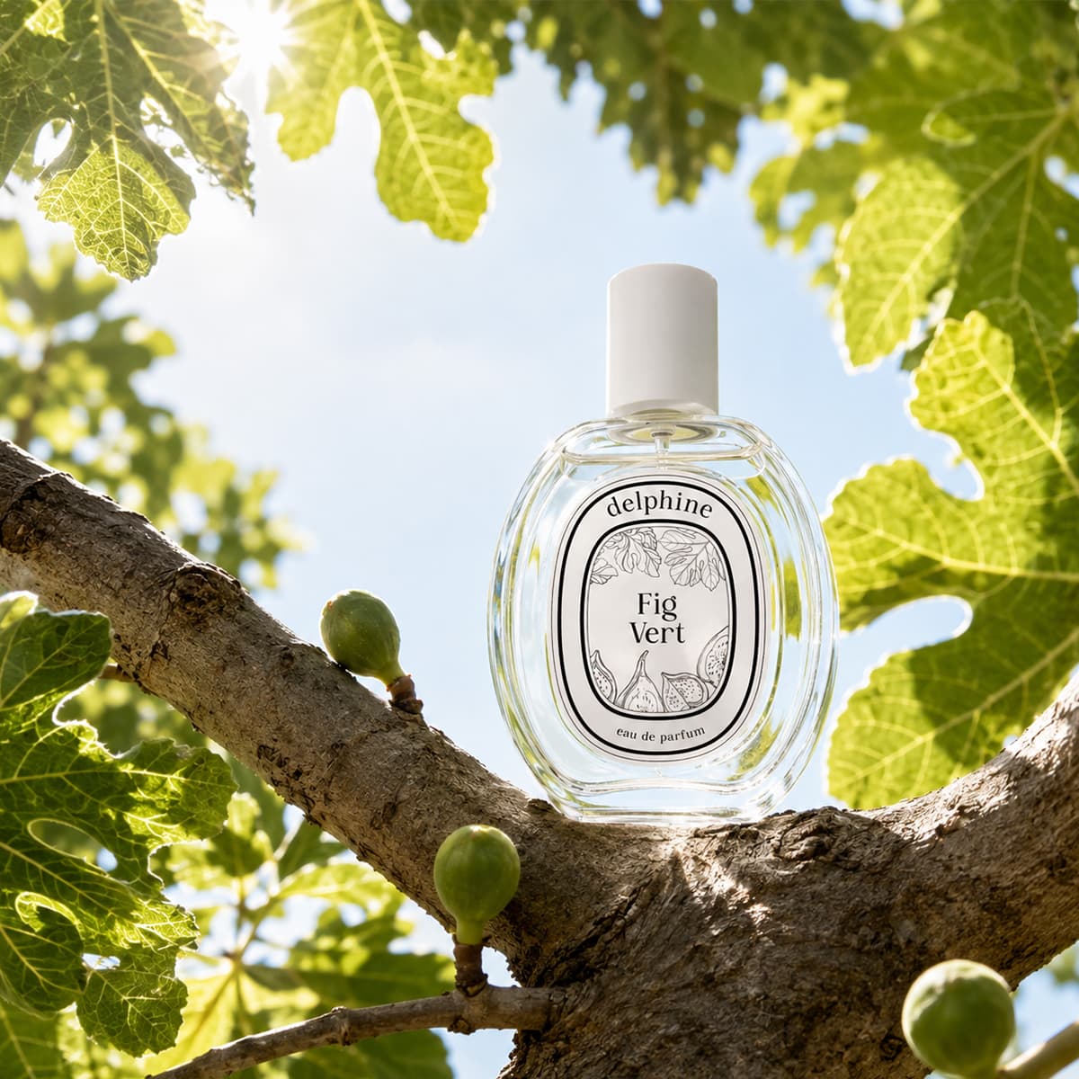 Delphine Fig Vert