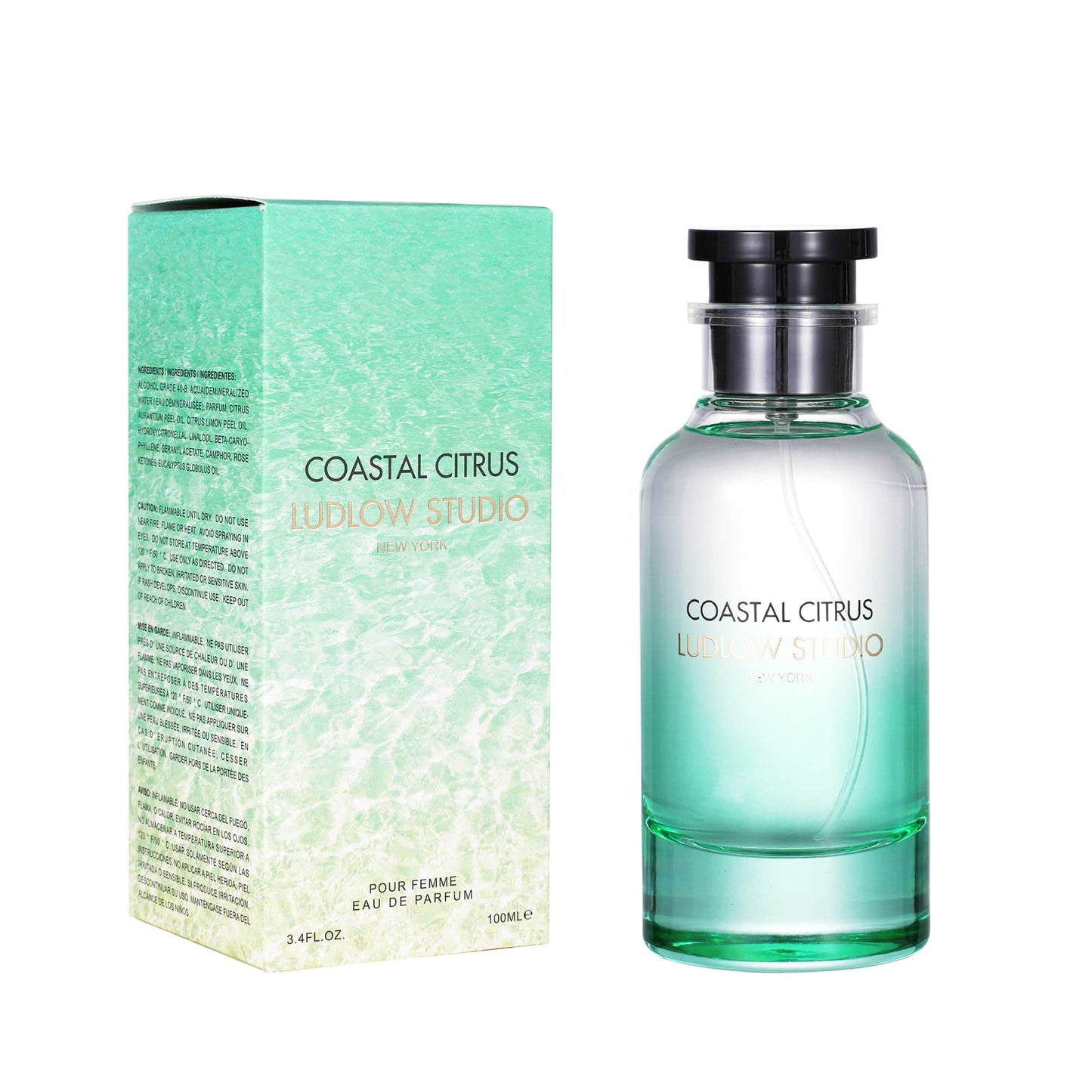 Ludlow Studio Coastal Citrus