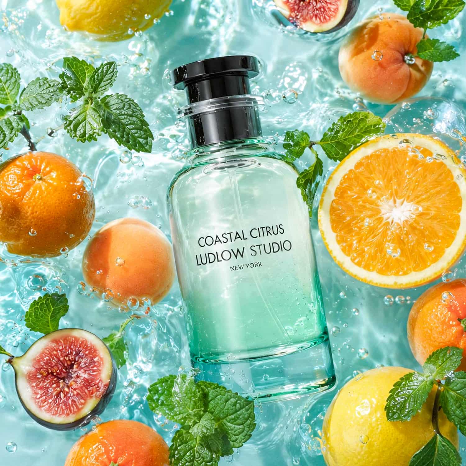 Ludlow Studio Coastal Citrus