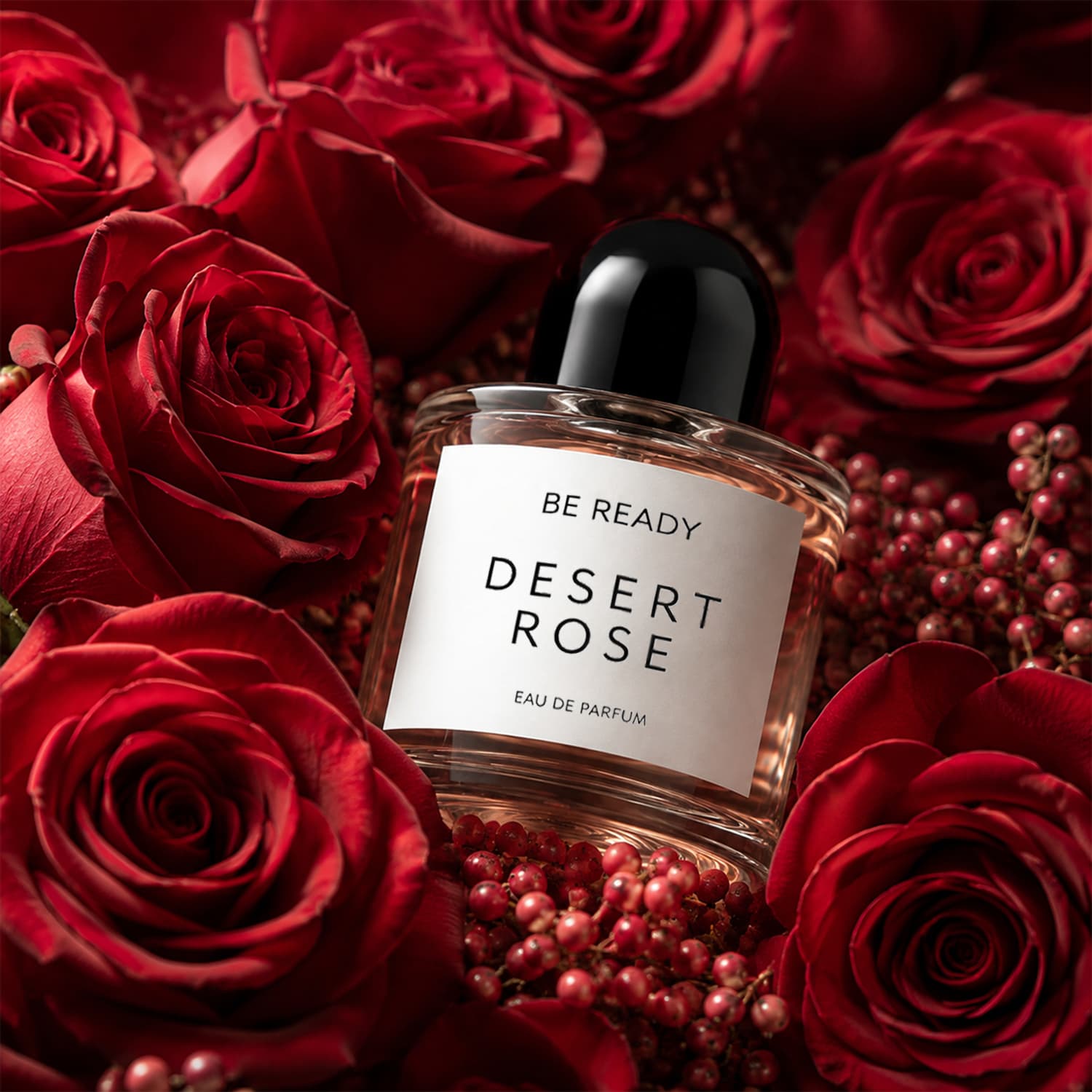 Be Ready Desert Rose