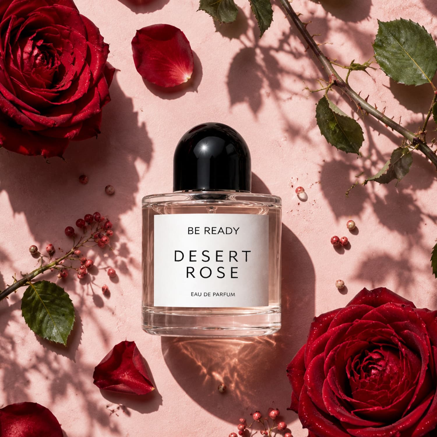 Be Ready Desert Rose