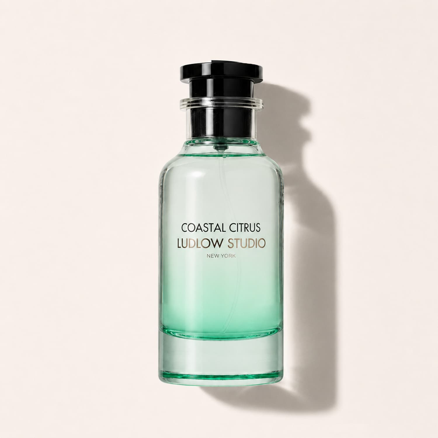 Ludlow Studio Coastal Citrus