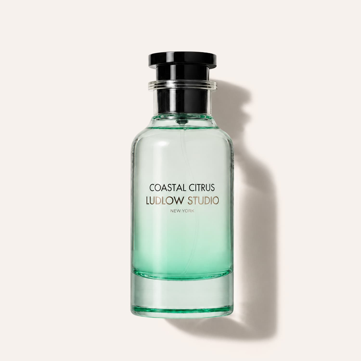 Ludlow Studio Coastal Citrus