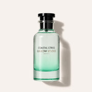 Ludlow Studio Coastal Citrus
