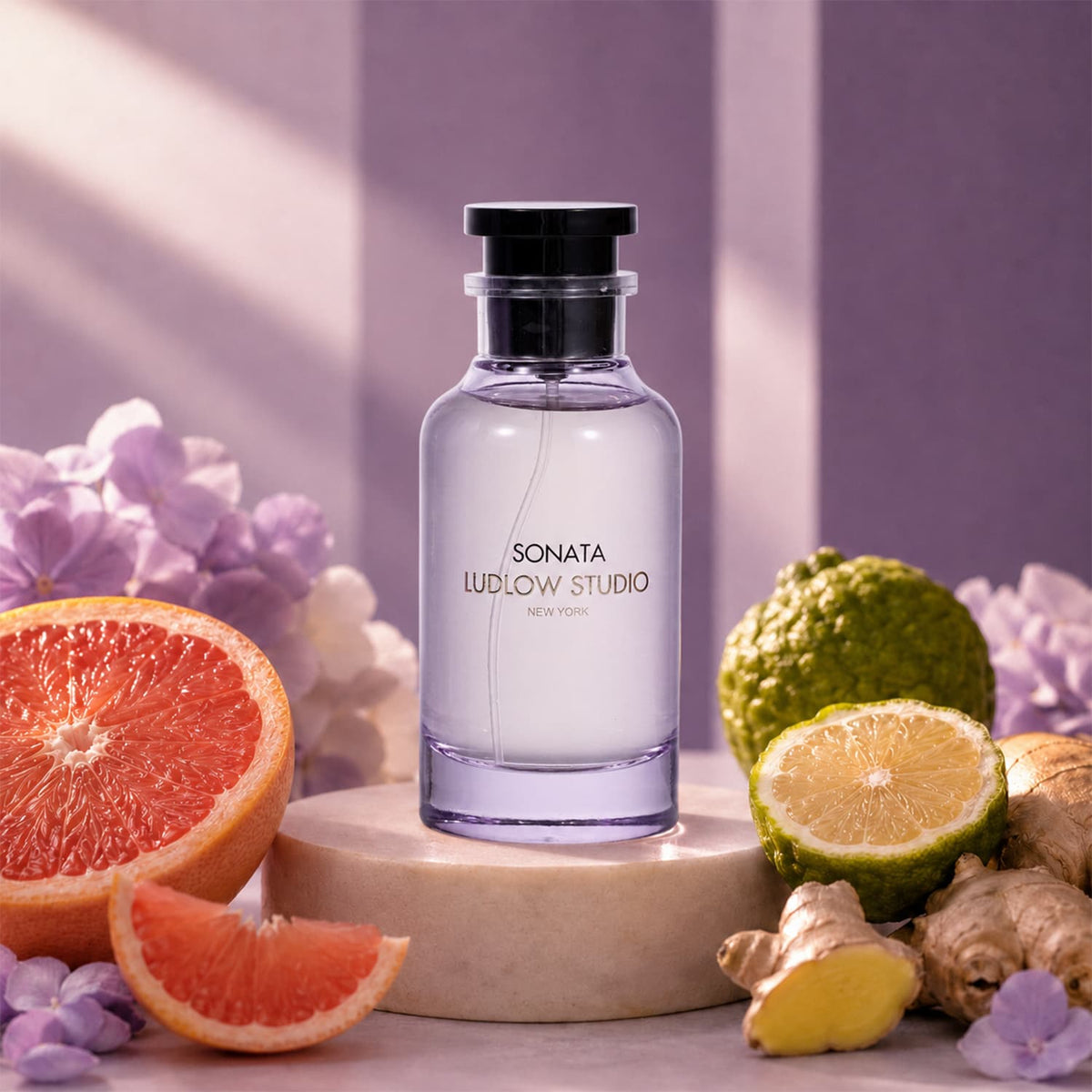 Ludlow Studio Sonata